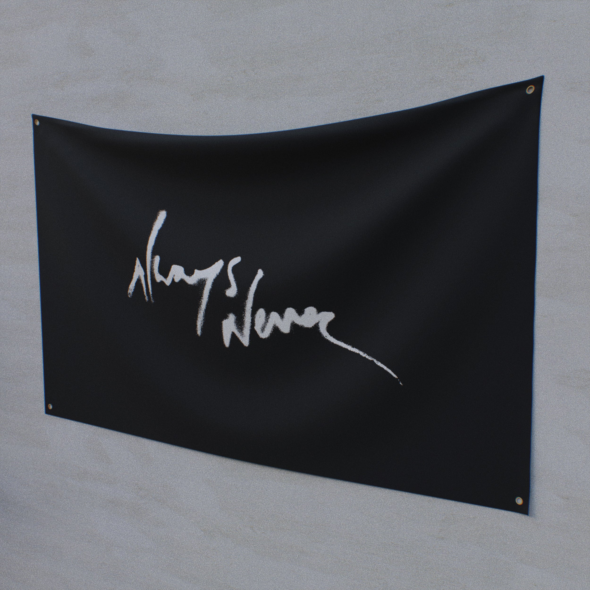 Always Never Icon Always Never Logo Flag (SOLD OUT) โ Always Never Merch